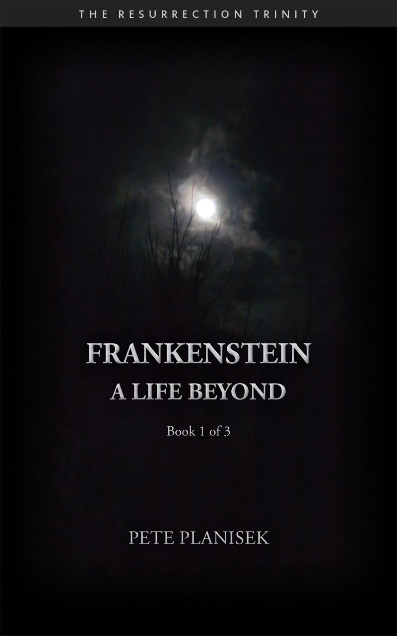 Frankenstein A Life Beyond Cover