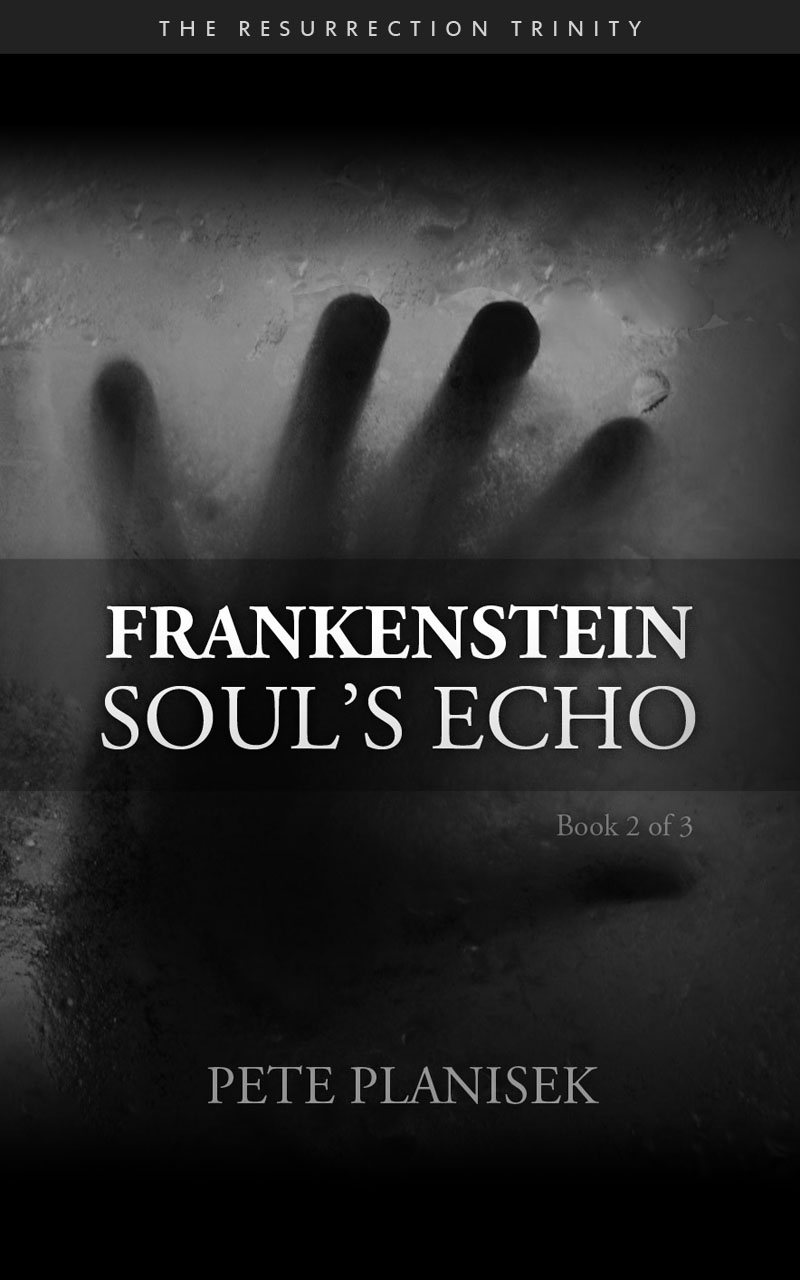 Frankenstein Soul's Echo Cover